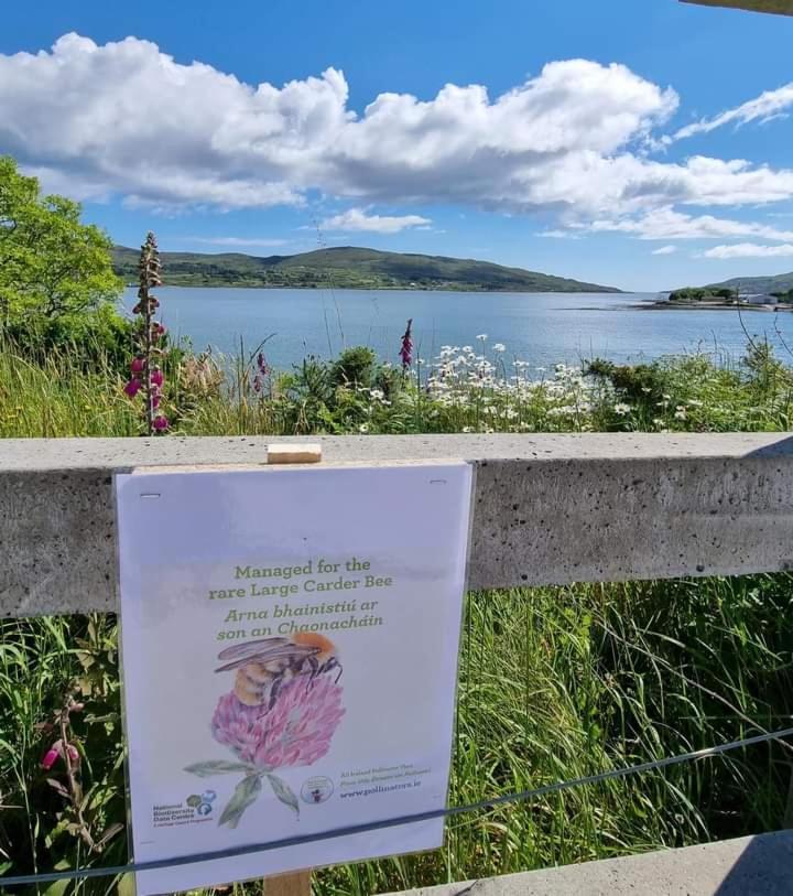 Escape To The Beara Peninsula. Lägenhet Castletownbere Exteriör bild